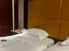 -圣爵菲斯大酒店(长沙世界之窗店)