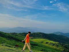-大姆山草场