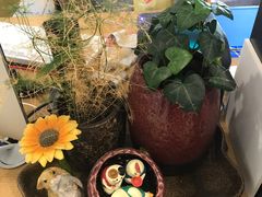 -爱畅享华为苹果手机维修服务(虹口龙之梦店)