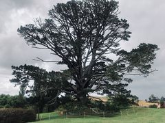 -霍比特人村