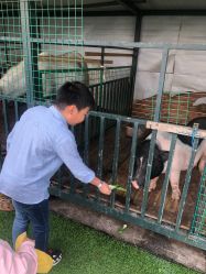 -小蜜蜂农场(凯德七宝购物广场店)