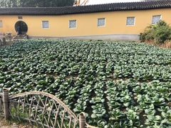 -重元寺香积厨素斋馆