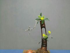 -荷兰布尔玛国际花艺学院