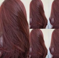 -型色沙龙 Color Salon