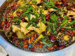 -乡土特色.冷锅鱼.牦牛肉汤锅