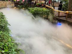 -二荆条·蜀鲜汇城市森林火锅