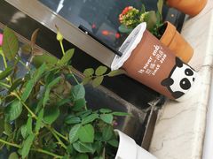 -熊猫一间店欧式奶茶铺