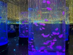 -波塞冬海底世界