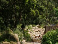 -梧桐山风景名胜区