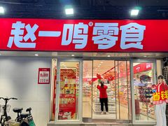 -赵一鸣零食(江苏南京福园街店)