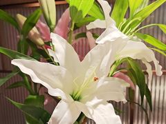 -鑫小城故事·藕汤·家常菜(台北一路总店)