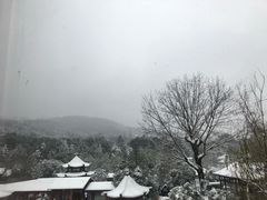 -咸宁万豪温泉谷度假区