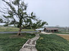 -良渚古城遗址公园