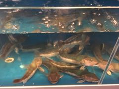 -同乐酒楼(皇后镇店)