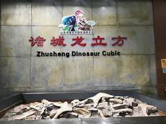-诸城市恐龙博物馆