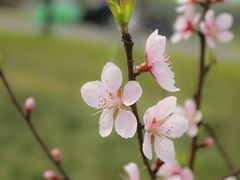 -艾溪湖湿地公园