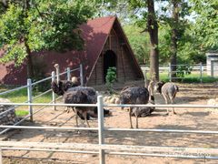 -西安秦岭野生动物园