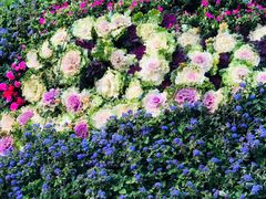 -人民公园(罗湖区)