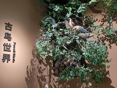 -辽宁古生物博物馆