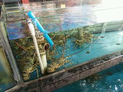 -马王堆海鲜水产市场