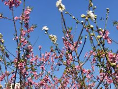 -船政文化景区-罗星塔公园