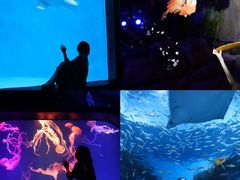 -海合安成都极地海洋公园