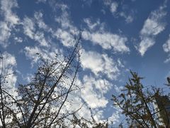 -长沙滨江文化园