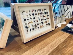 -二酉书店TOYOU BOOKS