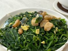 上汤苋菜-腰记饭店(龙源路店)