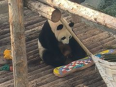 -大连森林动物园