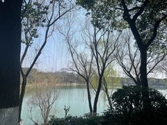 -羊山湖公园