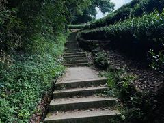 -西湖风景区十里琅珰-五云山