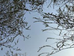 -贵阳市花溪国家城市湿地公园