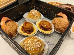 -翠园(北京王府中环店)