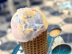 -贝林大翅鲸简餐厅(国家海洋博物馆店)