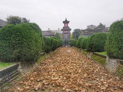 -四川大学(华西校区)