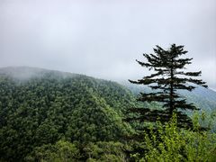 -凤凰山国家森林公园