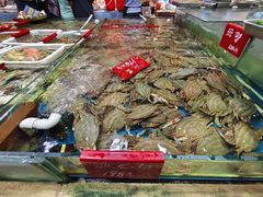 -旺角小渔村·海肠捞饭开创者(环山路店)