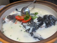 -全乐鱼馆·淳牌有机鱼直营店