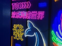 -重庆欢乐海底世界