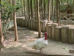 -昆山城市生态森林公园