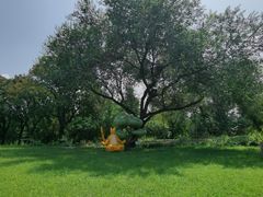 -北京西山国家森林公园