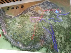 -青藏高原自然博物馆