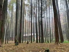 -山王坪喀斯特国家生态公园
