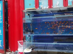 -华声天桥民俗文化园