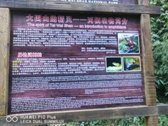 -云南屏边大围山国家公园