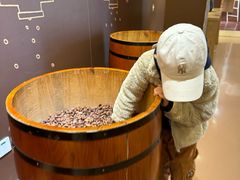 -歌斐颂巧克力小镇