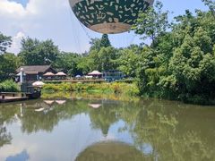 -西溪国家湿地公园