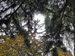 -东北大学(南湖校区)