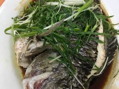 -华翔农庄(沙埔店)